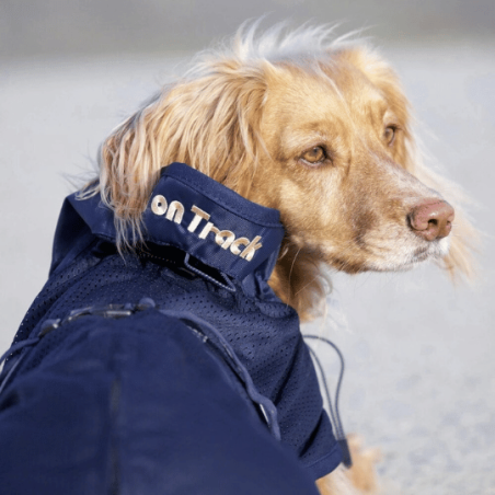 Manteau filet Back on Track - Accessoire pour chiens