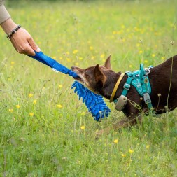 tug chenille mop agility poignee elastique jouet chien chiot motivation agility résistant canigourmand