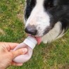 tube de recompense pour chien education canine positive canigourmand