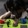 jeu d'intelligence pour chien, puzzle pour chien, stimulation mentale chien