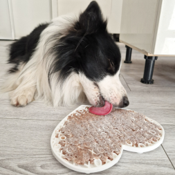 tapis de léchage lickimat Canigourmand pour chien chat jeu d'occupation stimulation