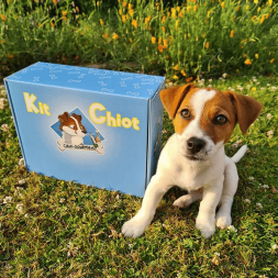 Kit Chiot - Petit