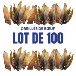 oreille de boeuf a macher friandise 100% naturelle pour chien chiot mastication canigourmand