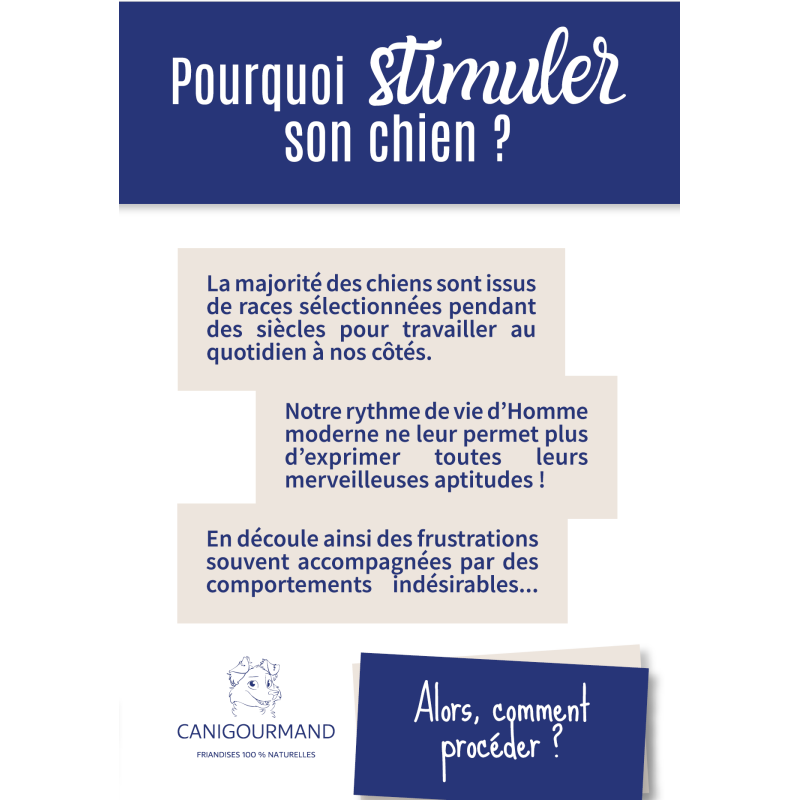 importance de stimuler son chien
dépliants flyers occupation