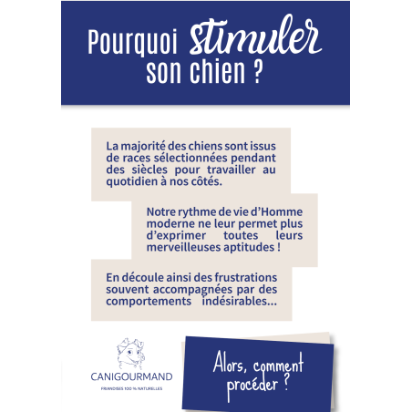 importance de stimuler son chien
dépliants flyers occupation