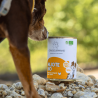 mijoté bio poulet bio 100% naturel biologique aliment complet pour chien récompense canigourmand