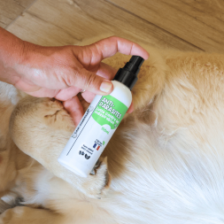 spray antiparasitaire, stop parasites, répulsif indésirables, pour chien bien-être animal canigourmand