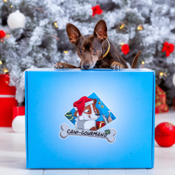 Calendrier de l'avent box noel pour chien friandises 100% naturelles canigourmand