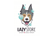 Lazy Store